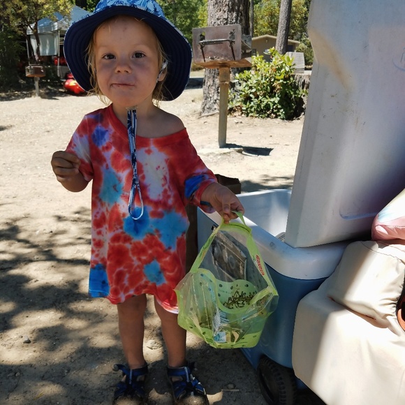 Meet your Posher, Nicole - Picture 4 of 4